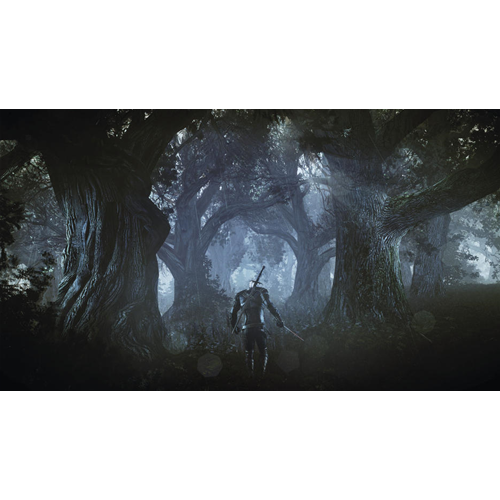 The Witcher 3 Goty PS4 UK The Witcher 3 Goty PS4 UK